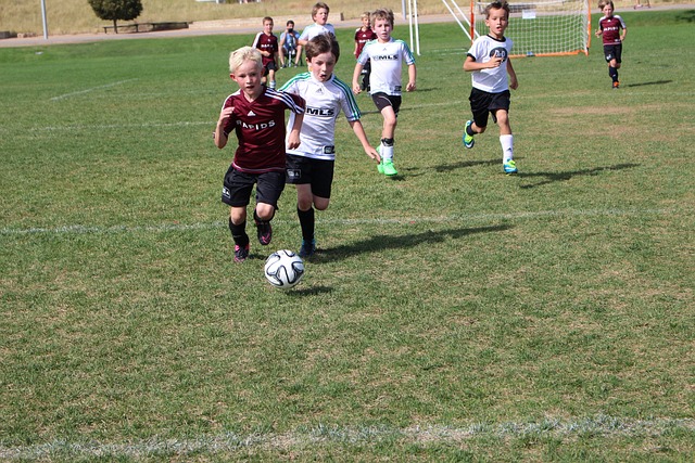 他们已经迈 他们已经迈