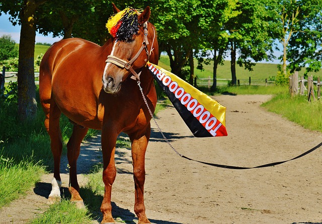 比赛中还有 比赛中还有