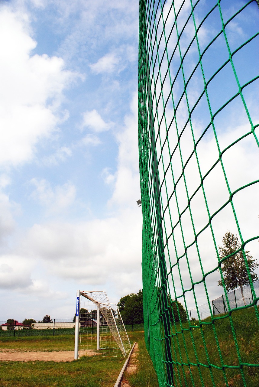 箭未来的团 箭未来的团