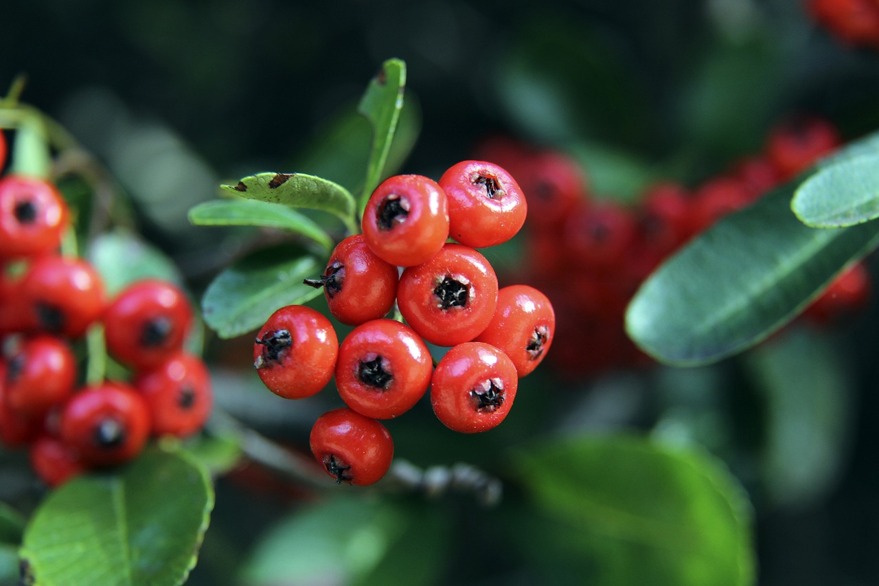 更是一次S 更是一次S