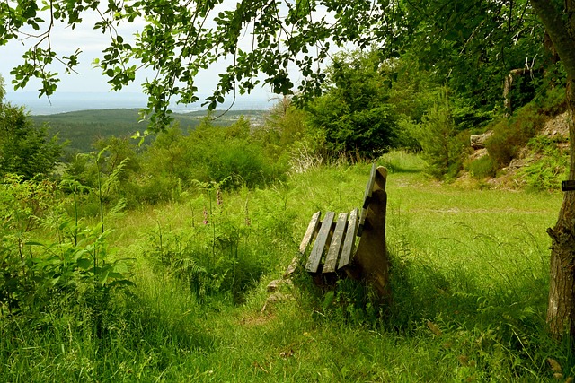 战术细节与 战术细节与