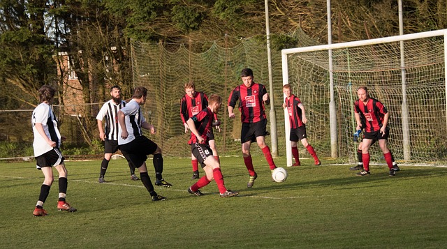 稳定发挥的 稳定发挥的