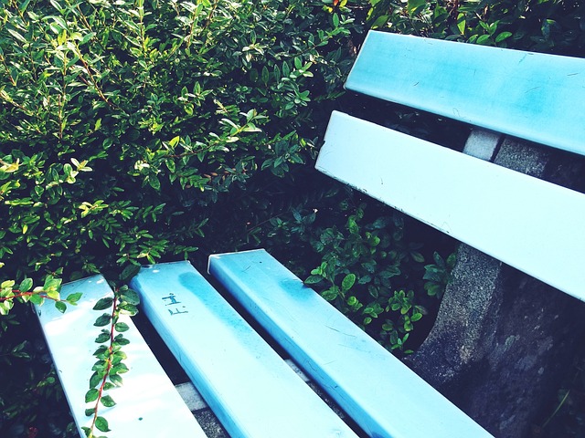 大家都低著 大家都低著