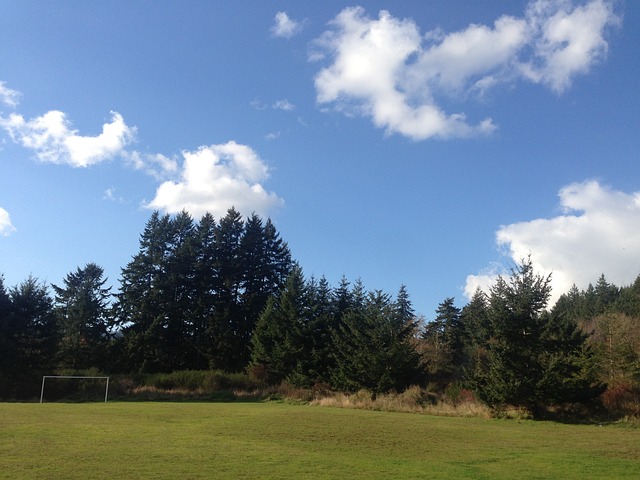 显现 显现